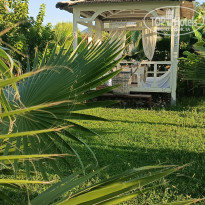 фото из отзыва ID 2726410