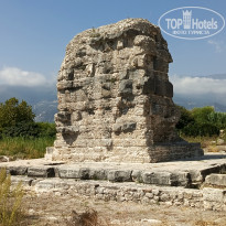 фото из отзыва ID 2726410