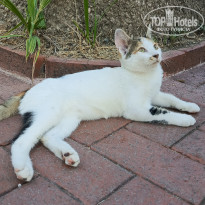 фото из отзыва ID 2726410