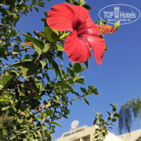 фото из отзыва ID 2726410