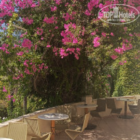 фото из отзыва ID 2726410