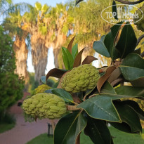 фото из отзыва ID 2726410