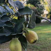 фото из отзыва ID 2726410