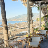 фото из отзыва ID 2726410