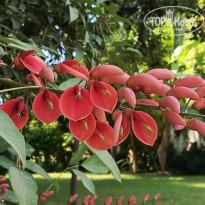 фото из отзыва ID 2726410