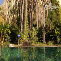 фото из отзыва ID 2726410