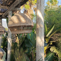 фото из отзыва ID 2726410