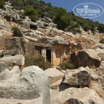 фото из отзыва ID 2726410