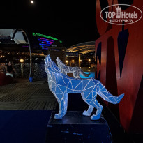 фото из отзыва ID 2726435