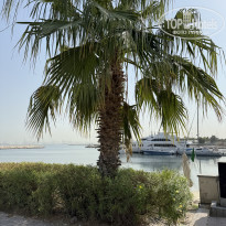 фото из отзыва ID 2726433