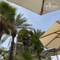 фото из отзыва ID 2726433