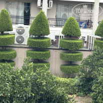 фото из отзыва ID 2726455