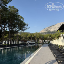 фото из отзыва ID 2726464