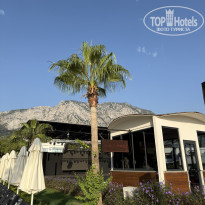 фото из отзыва ID 2726464