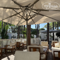 фото из отзыва ID 2726464