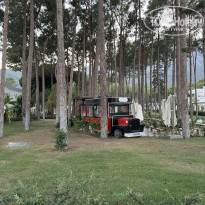 фото из отзыва ID 2726464