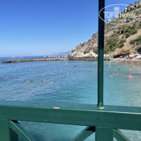 фото из отзыва ID 2726480