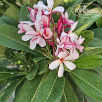 фото из отзыва ID 2726451