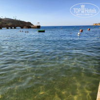 фото из отзыва ID 2726488