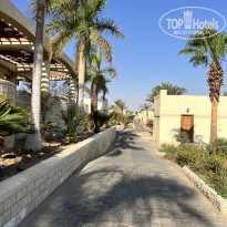 фото из отзыва ID 2726493