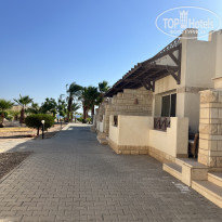 фото из отзыва ID 2726493