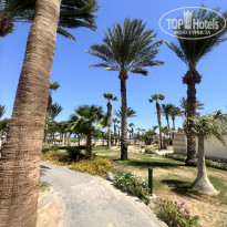 фото из отзыва ID 2726493