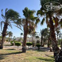 фото из отзыва ID 2726493