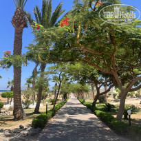 фото из отзыва ID 2726493