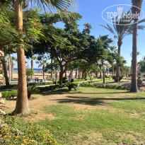 фото из отзыва ID 2726493