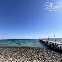 фото из отзыва ID 2726493