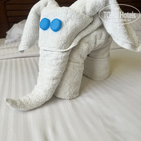 фото из отзыва ID 2726493