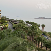 фото из отзыва ID 2726511