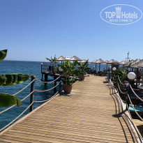 фото из отзыва ID 2726512