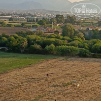 фото из отзыва ID 2726531