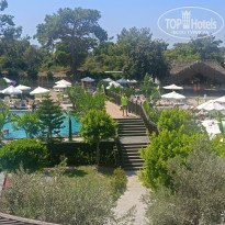 фото из отзыва ID 2726531