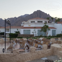 фото из отзыва ID 2726546