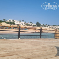 фото из отзыва ID 2726582