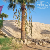 фото из отзыва ID 2726582