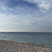 фото из отзыва ID 2726590