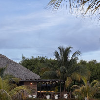 фото из отзыва ID 2726590