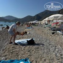 фото из отзыва ID 2726594