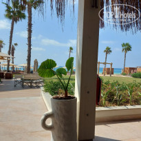 фото из отзыва ID 2726583