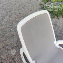 фото из отзыва ID 2726605