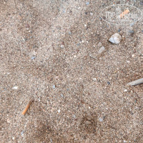 фото из отзыва ID 2726605