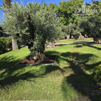 фото из отзыва ID 2726626