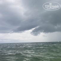 фото из отзыва ID 2726624