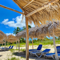 фото из отзыва ID 2726624