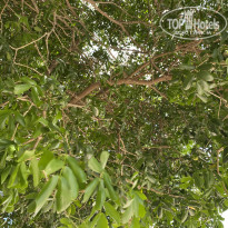 фото из отзыва ID 2726624