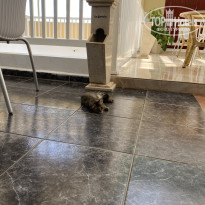 фото из отзыва ID 2726624