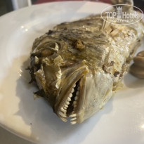 фото из отзыва ID 2726624